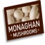 Monaghan Mushrooms Electrical Contract Awarded